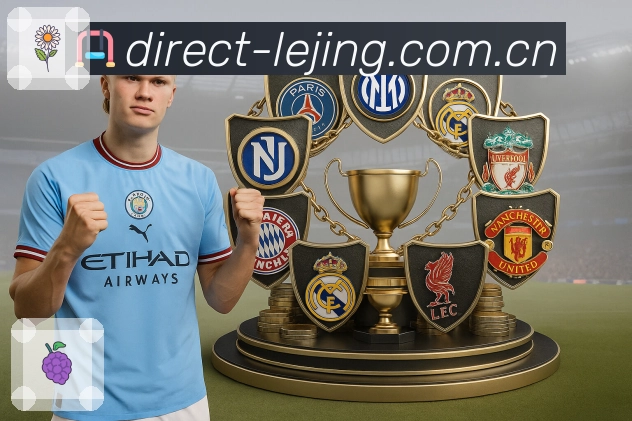 全球访问与热度分布图